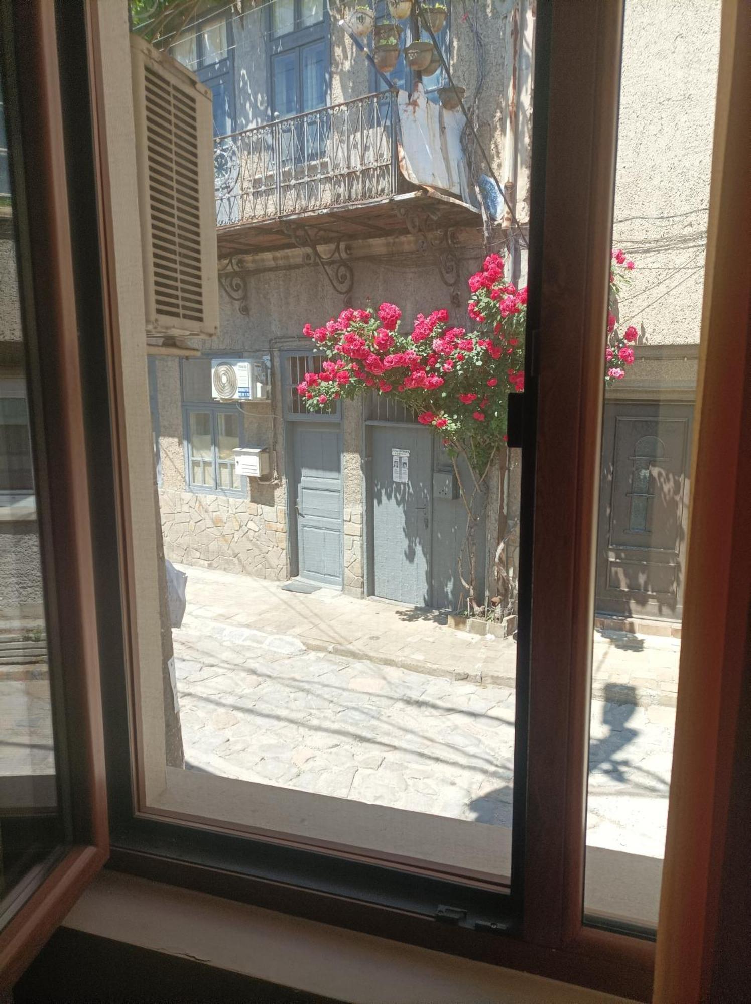 Cosy Apartments And Spectacular Rooms Fotiadis 大特尔诺沃 外观 照片